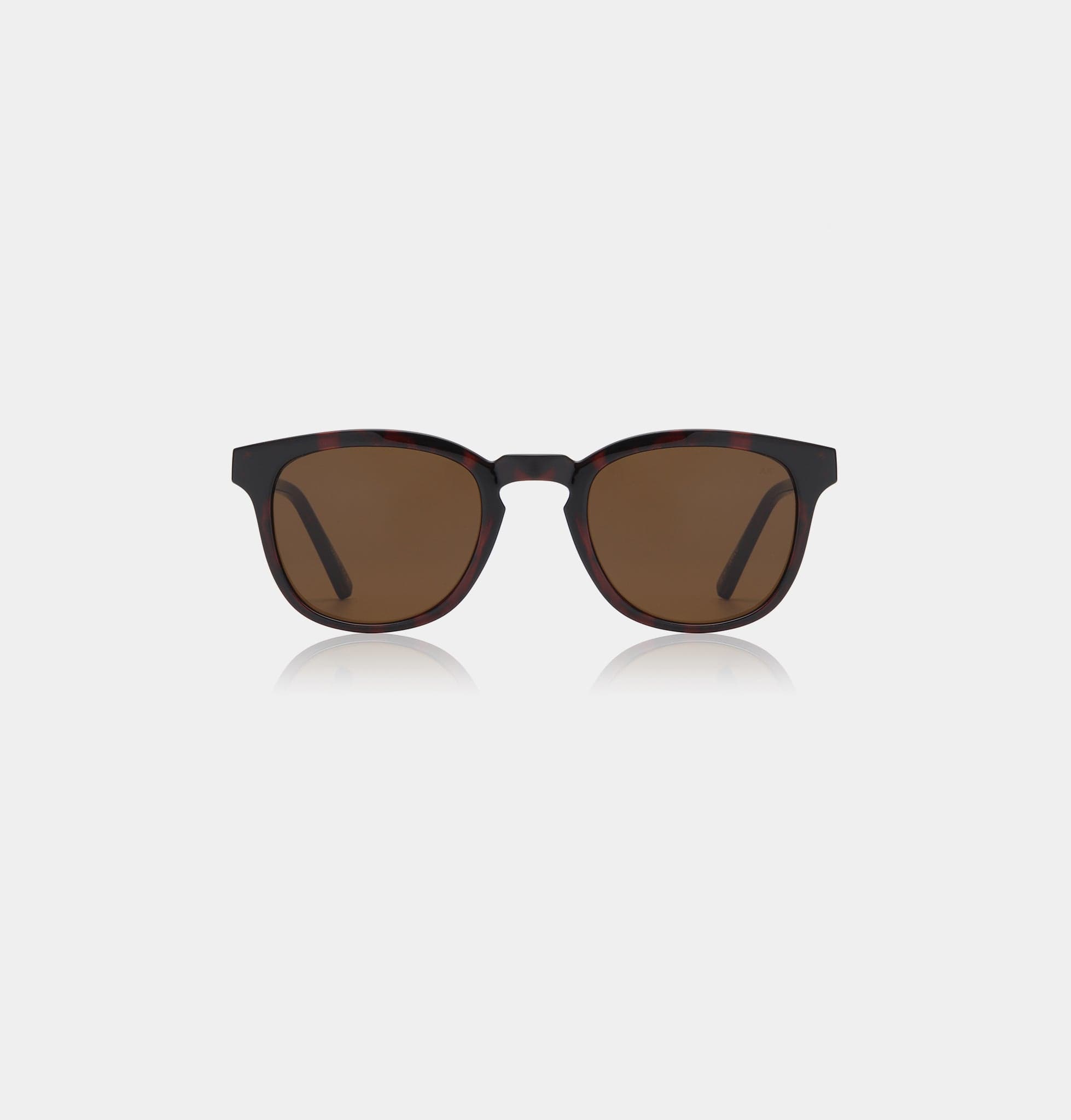 #color_demi tortoise