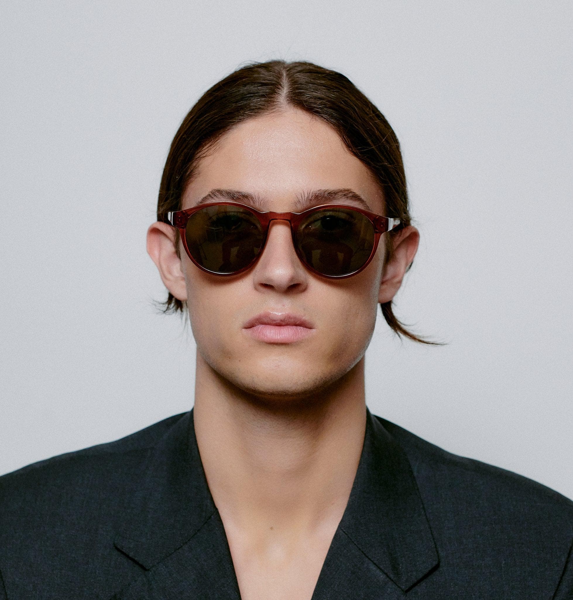 #color_demi tortoise