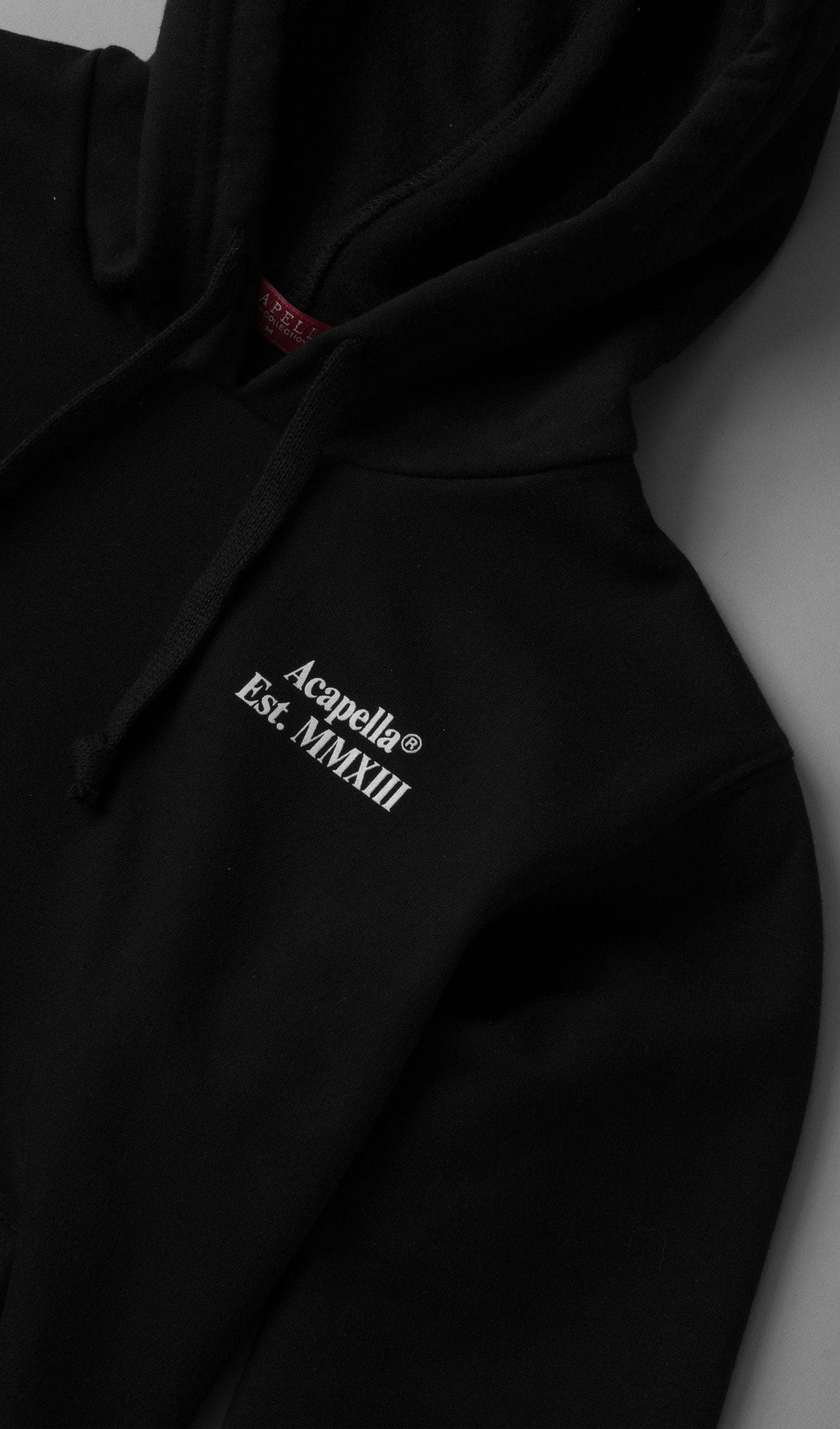 Acapella Ropa Youth Hoodie Sudadera Est. MMXIII Hoodie Youth