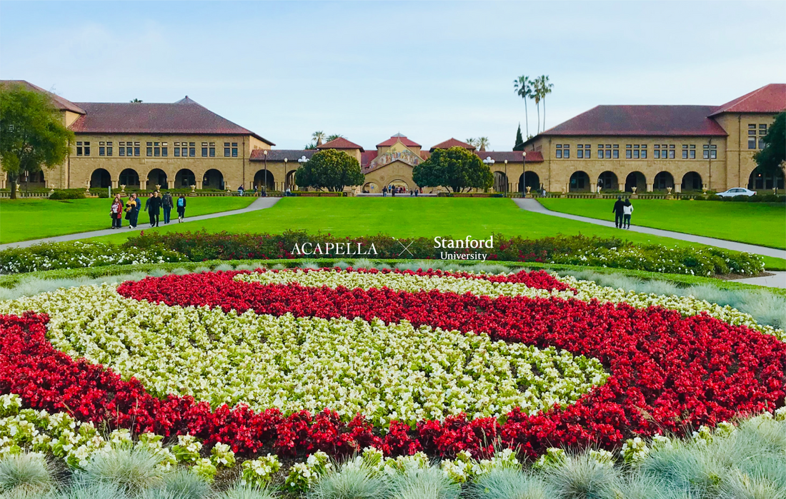 Acapella x Stanford: Una excelente colección para una excelente universidad