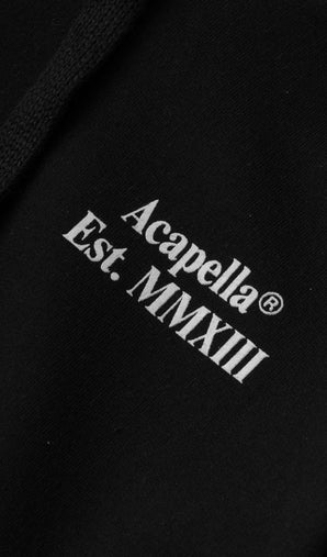 Acapella Ropa Youth Hoodie Sudadera Est. MMXIII Hoodie Youth